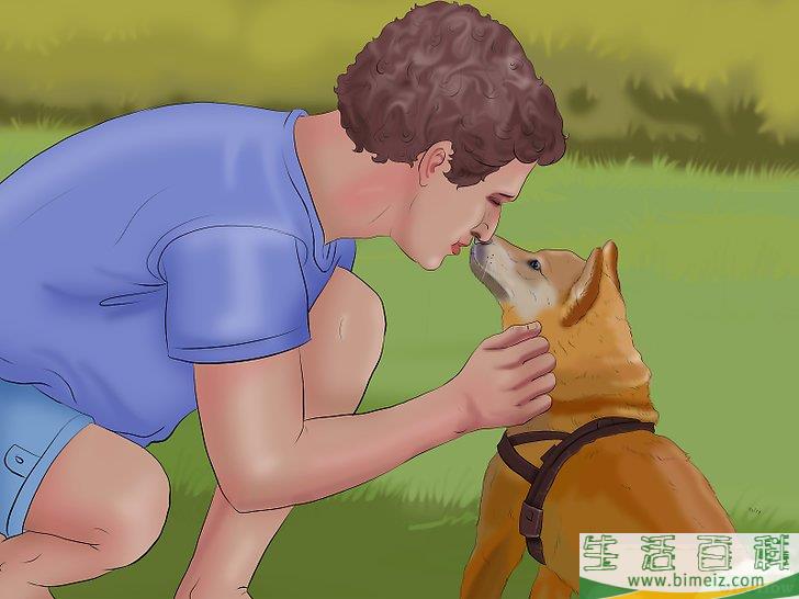 如何训练狗狗