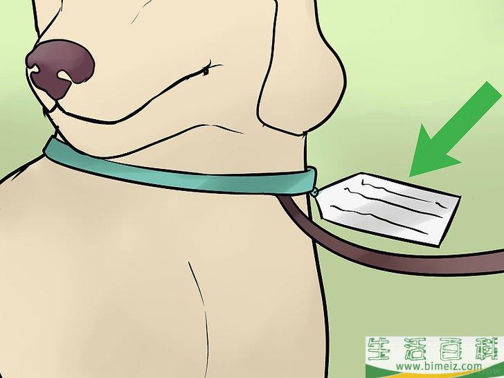 如何让狗狗在燃放烟花时保持冷静