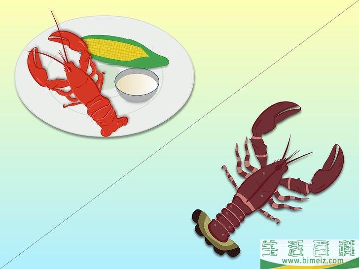 如何吃龙虾