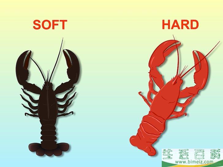 如何吃龙虾