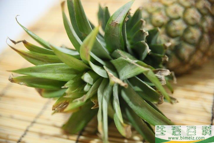 如何判断菠萝是否熟了