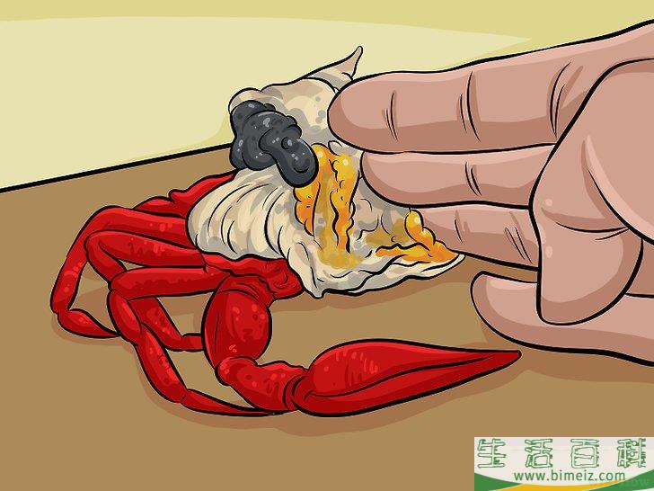 如何吃龙虾