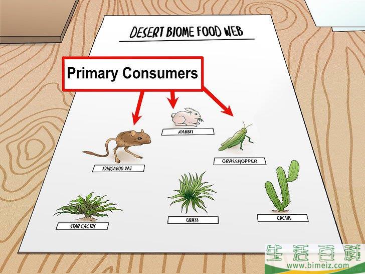 如何画一张食物网
