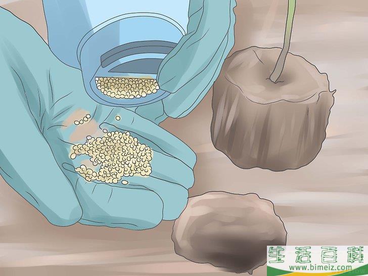 如何进行科学实验