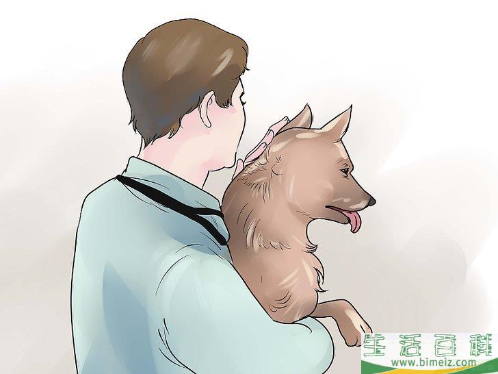 如何治疗犬疥癣病