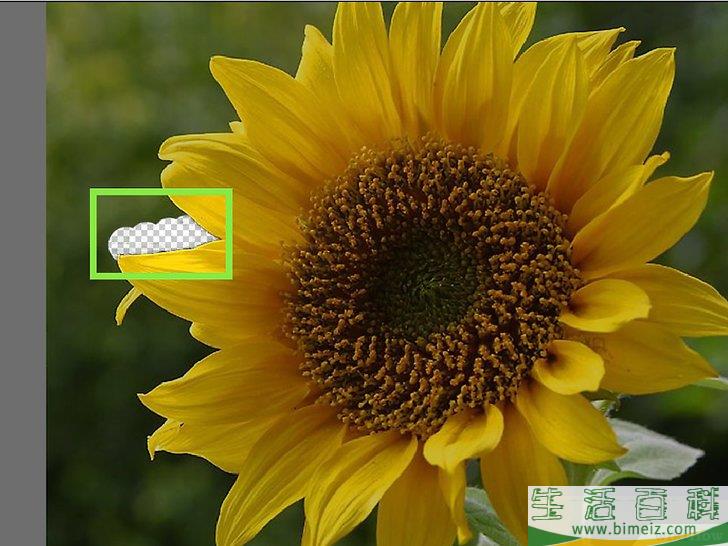 如何用Photoshop Elements删除背景