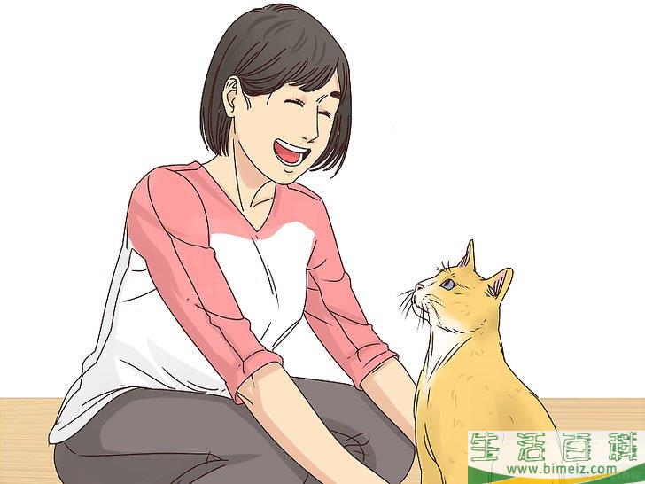 如何让猫咪喜欢你