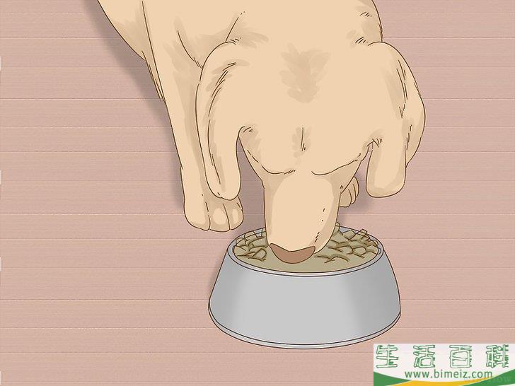 如何照顾刚做完绝育手术的母狗