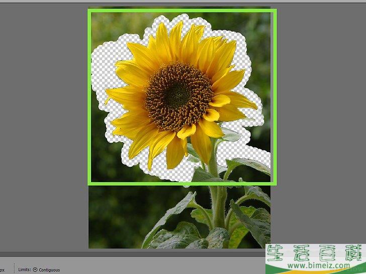 如何用Photoshop Elements删除背景