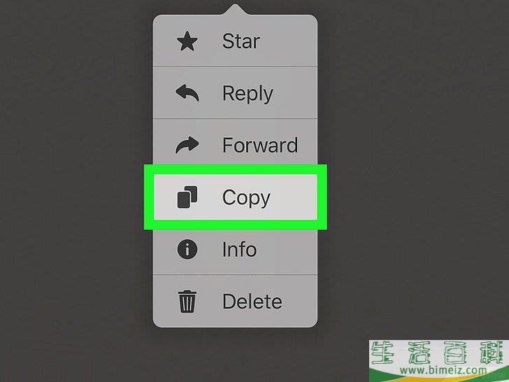 如何在WhatsApp上复制粘贴