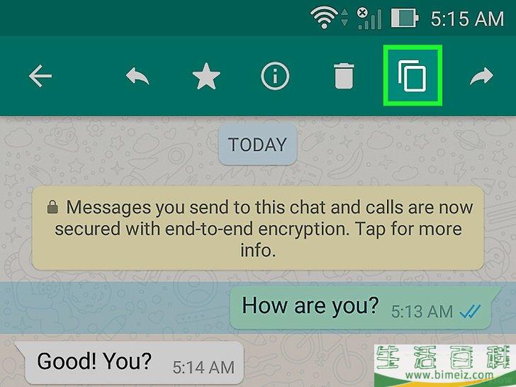 如何在WhatsApp上复制粘贴