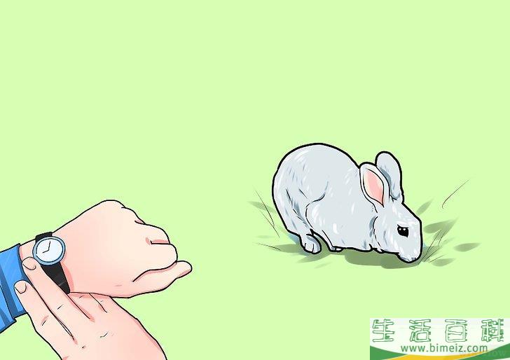 如何繁殖兔子