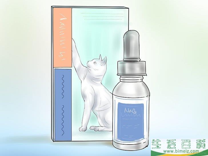 如何治疗中毒的猫