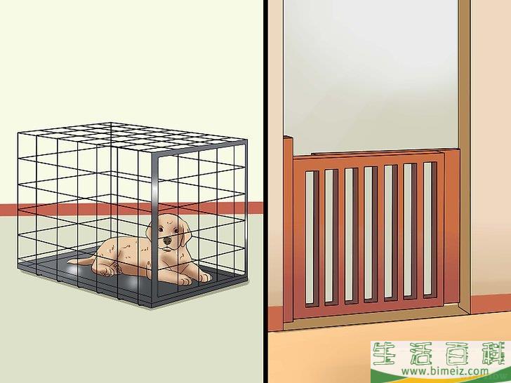 如何在家训练小狗