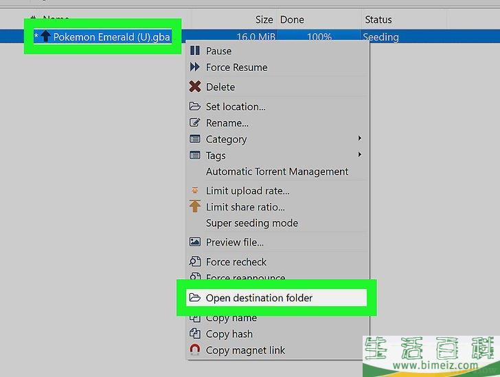 如何打开种子文件