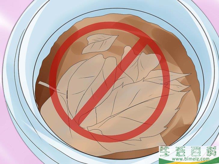 如何照料毛毛虫