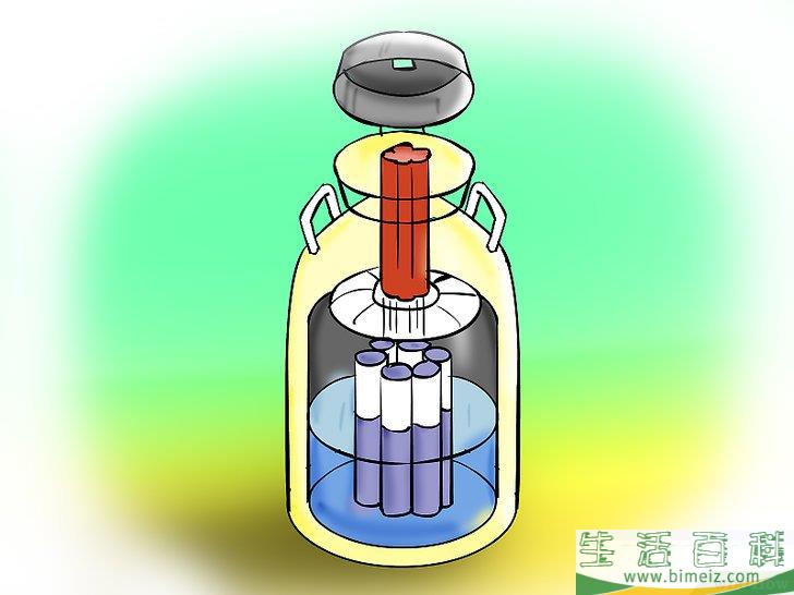 如何人工受精乳牛和小母牛