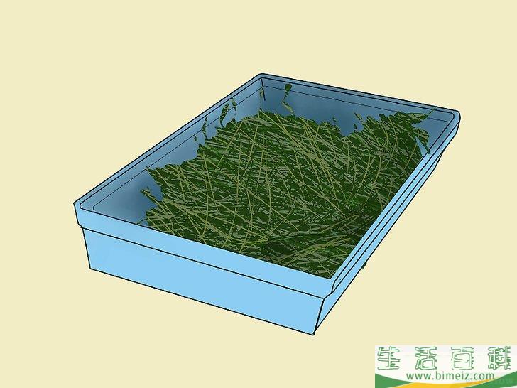 如何照顾兔子