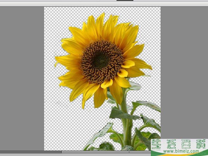 如何用Photoshop Elements删除背景