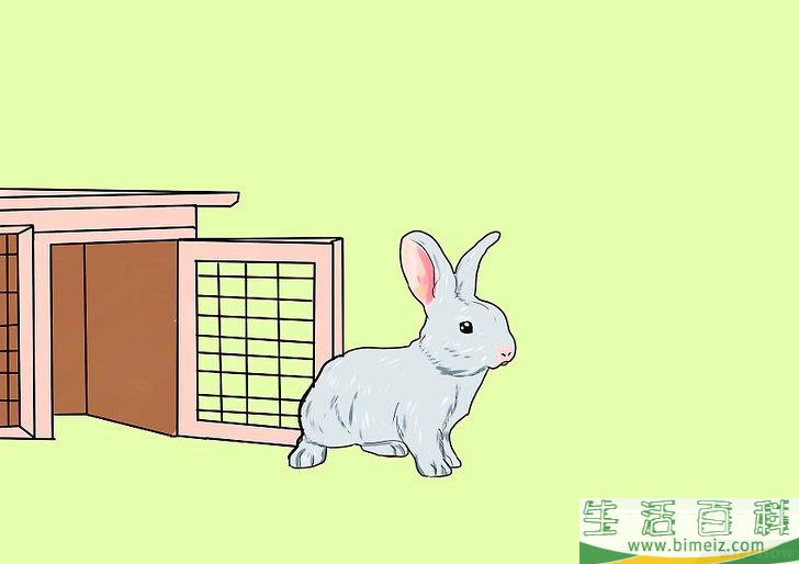 如何繁殖兔子