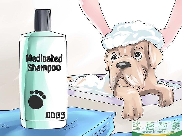 如何治疗犬疥癣病