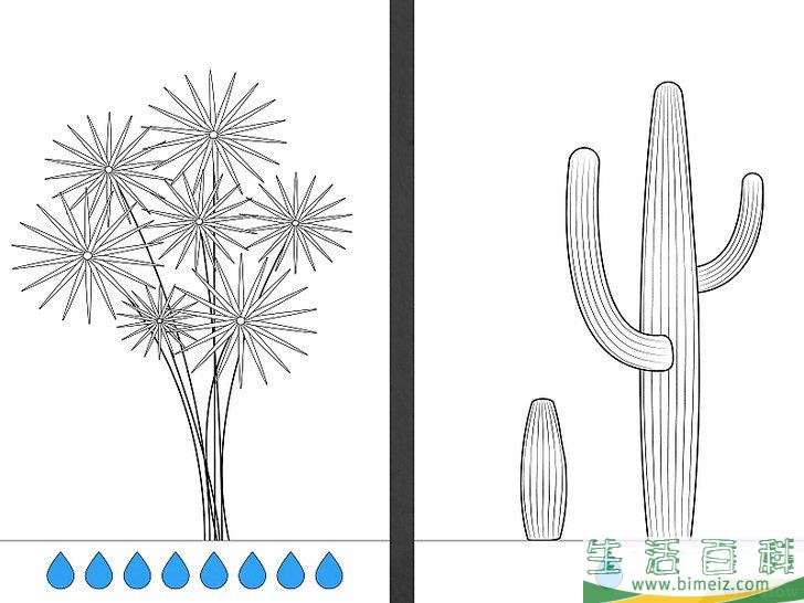 怎么节约用水