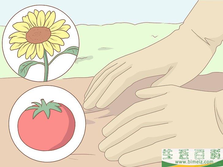 怎么从身边做起保护环境（给孩子们）