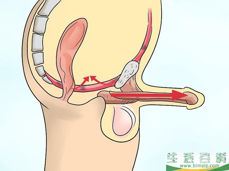 怎么锻炼PC肌