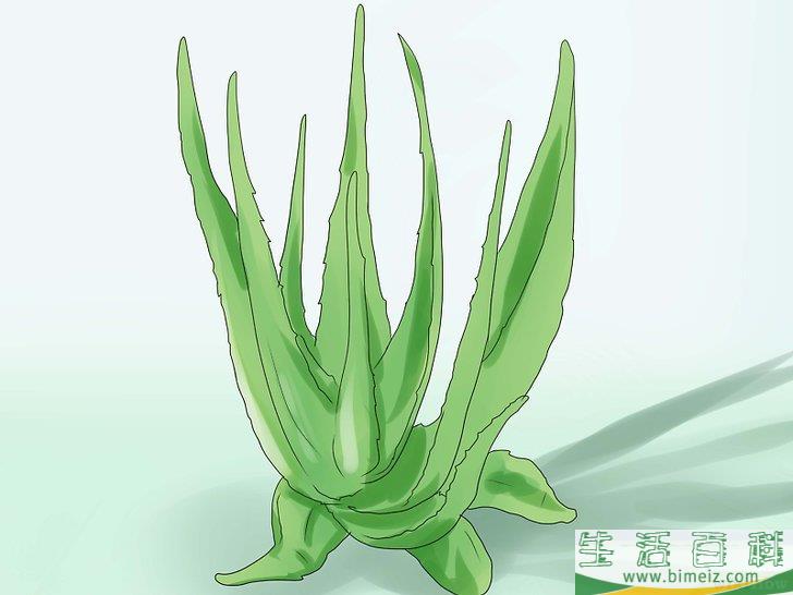 怎么美白