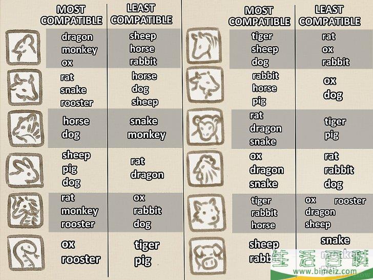 怎么看懂生肖和八字