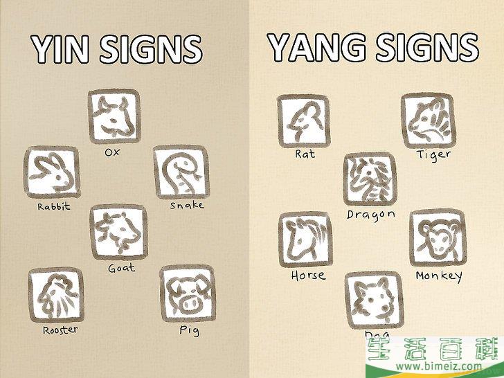 怎么看懂生肖和八字