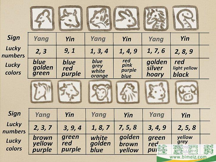 怎么看懂生肖和八字