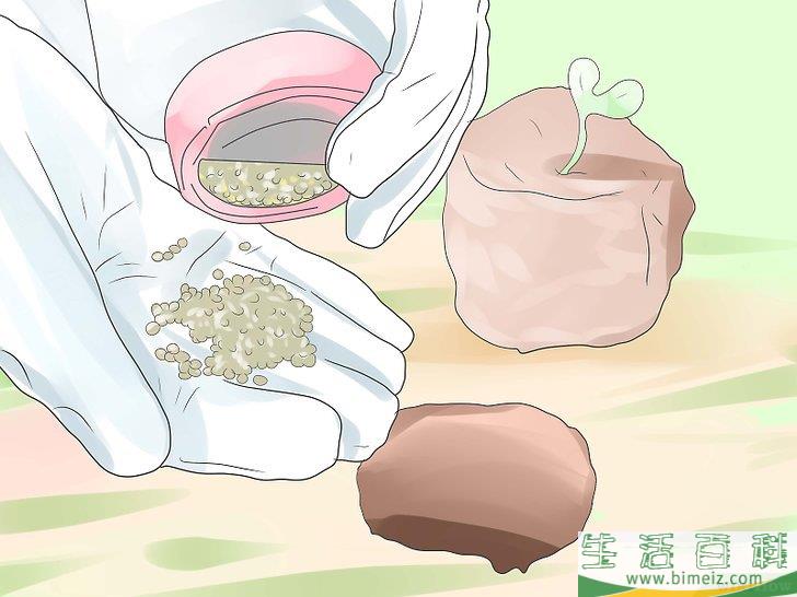怎么做一位隐士