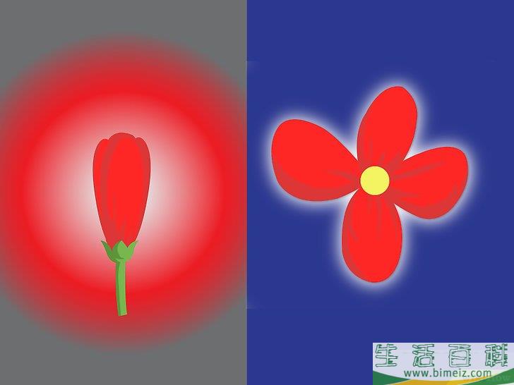 怎么打开你的脉轮