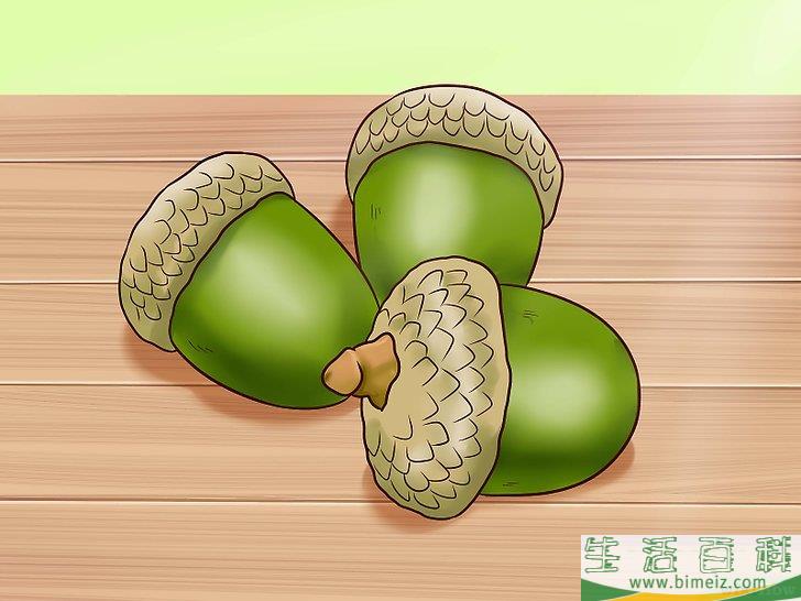怎么把橡子做成食物