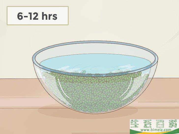 怎么发绿豆芽