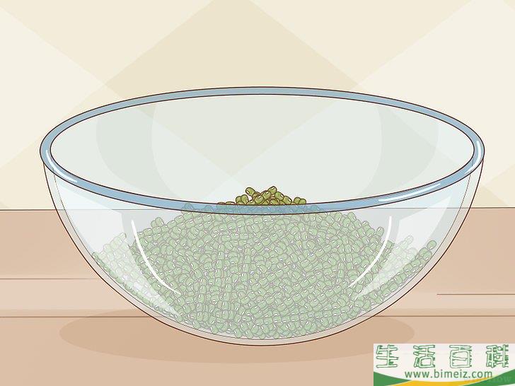 怎么发绿豆芽