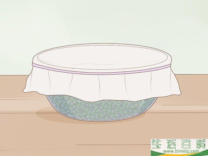 怎么发绿豆芽