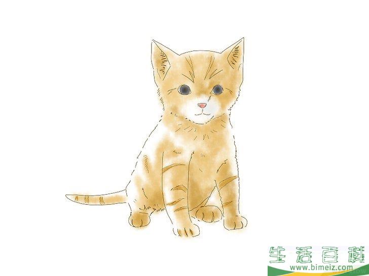 怎么画猫咪