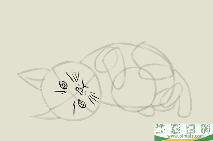 怎么画猫咪
