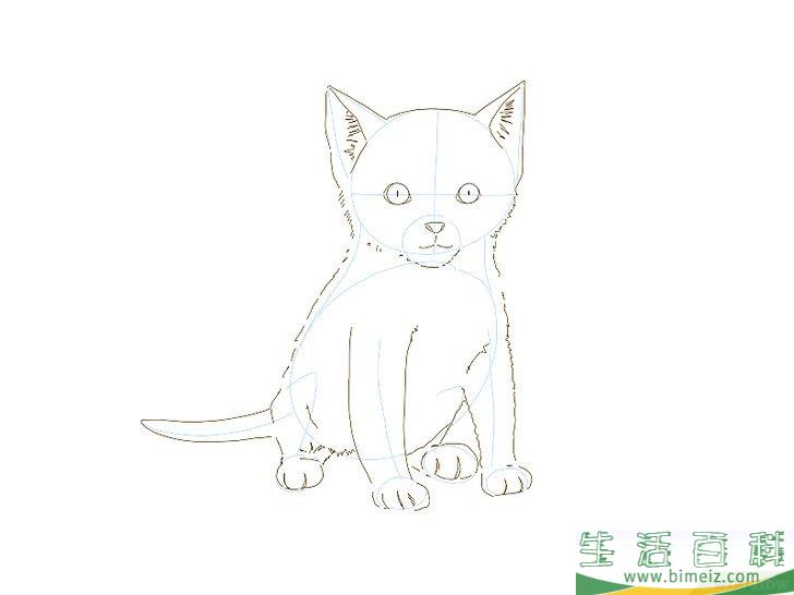 怎么画猫咪