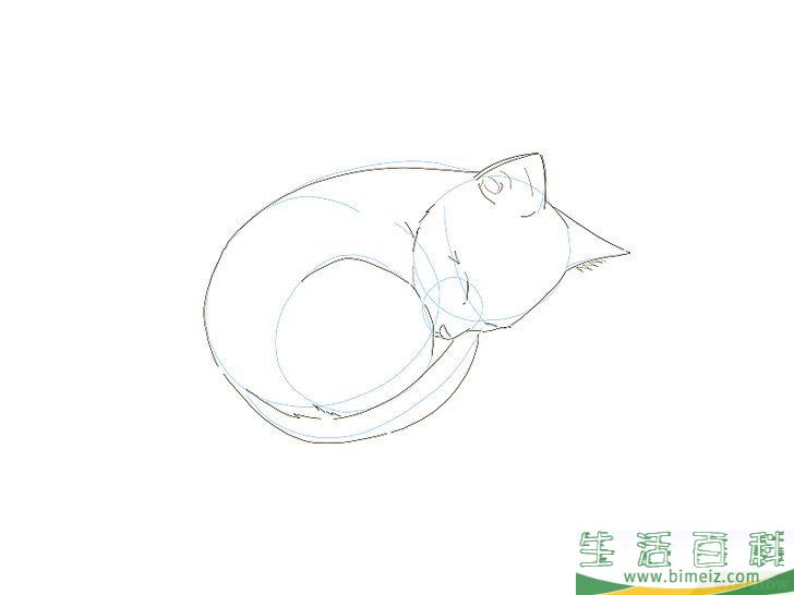 怎么画猫咪