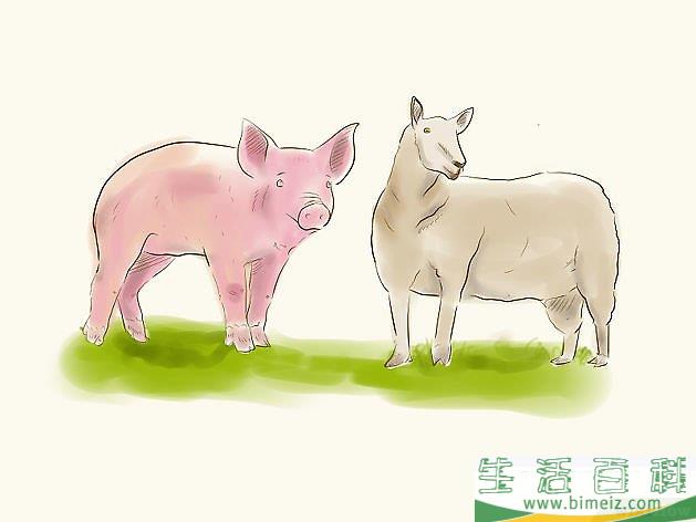 怎么画动物