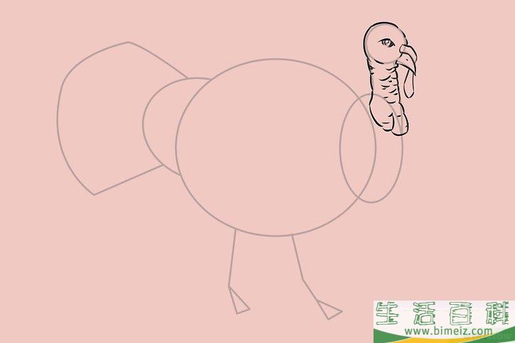 怎么画一只火鸡