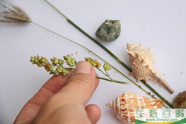 怎么做拼贴画