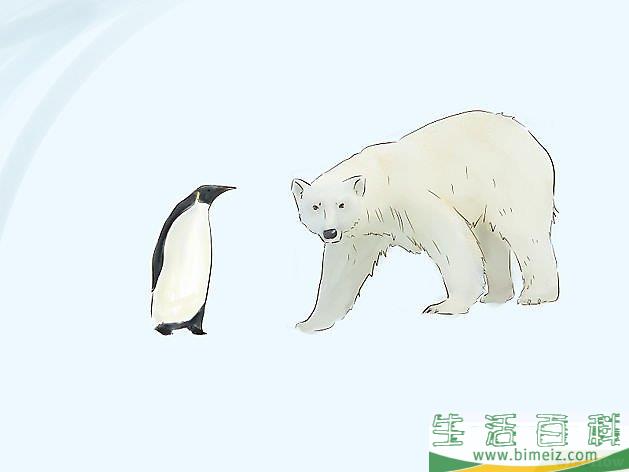 怎么画动物