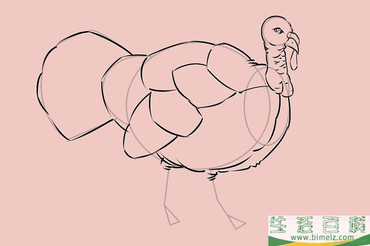 怎么画一只火鸡