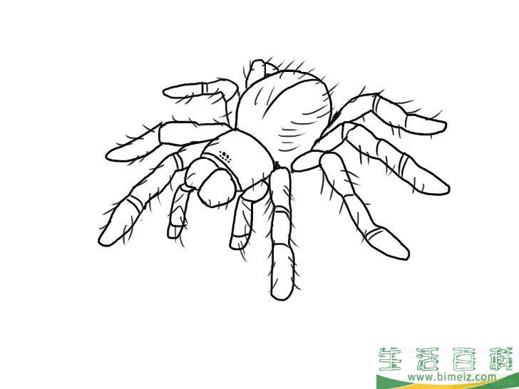 怎么画蜘蛛