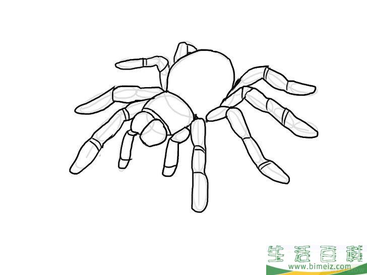 怎么画蜘蛛