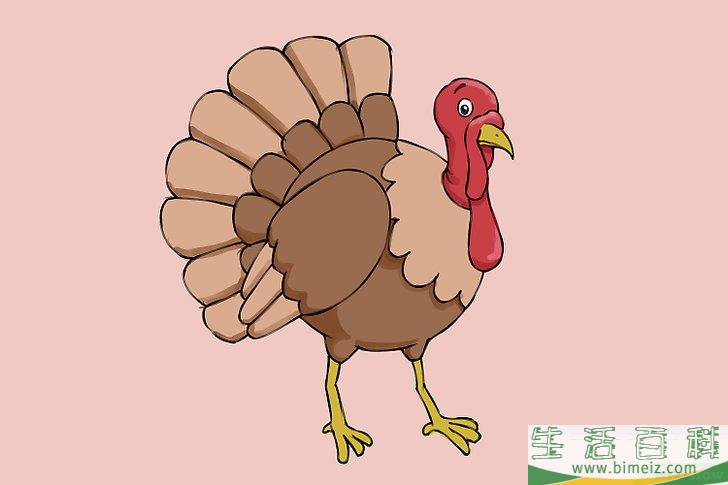 怎么画一只火鸡